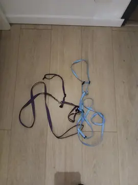 2 harnais pour chat