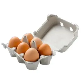 boîtes à œufs vides