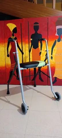 Déambulateur pliant 2 roues