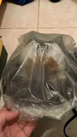 chapeau déguisement enfants