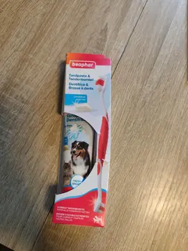 brosse à dents et dentifrice chien/chat