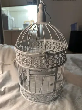 cage à oiseaux décoration