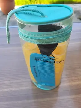 Bigoudis Jean-Louis David