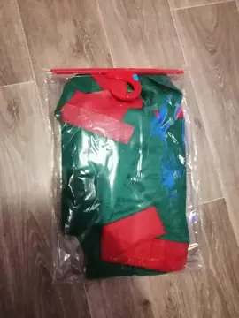 Déguisement mère Noel