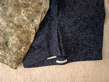 Un pantalon et deux bermudas