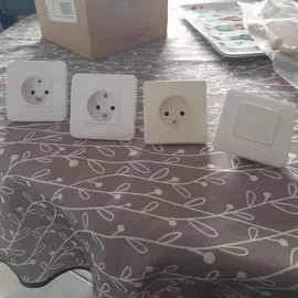 Lot de 3 prises de courant et 1 interrupteur, neufs