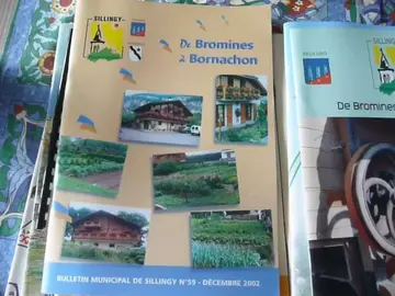 Bulletin Municipal de Bromines à Bornachon