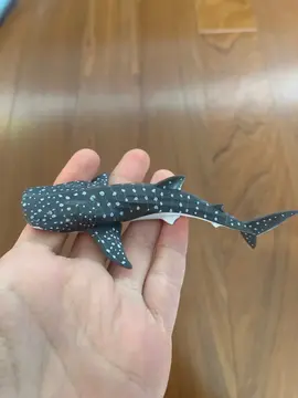 petite figurine requin