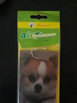 diffuseur de parfum pendentif