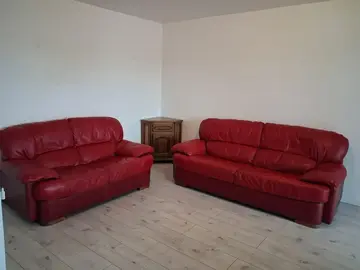 2 canapés cuir véritable