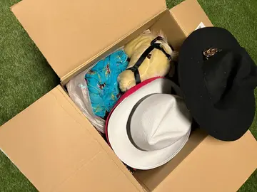 Carton objets de déguisement