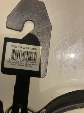 collier petit chien en cuir