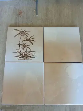 Donne faience neuve 15x15