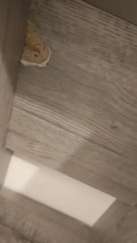 étagères bibliothèque