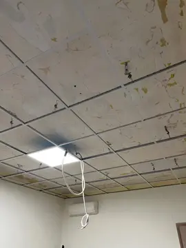 structure pour dalle de plafond + 2 dalles lumineuses