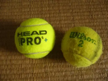 Balles tennis pour chien