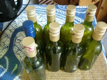 12 bouteilles vides 25 cl