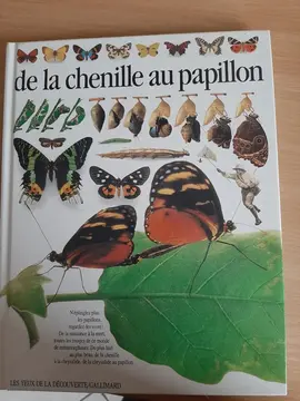 livres sur les papillons et les rongeurs