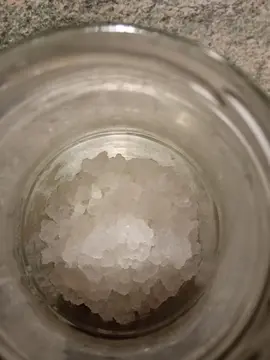 grains de kéfir de fruits