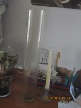 grand vase en verre pour iris ou autres