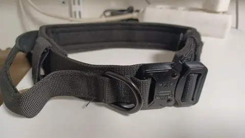 collier tactique poir chien