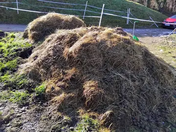 Fumier chèvre et cheval