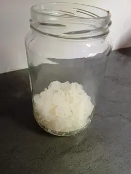 grains de Kéfir d'eau