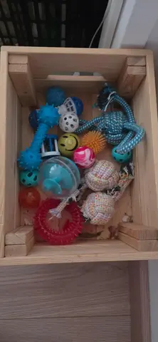 Pleins de jouet pour chien ou chat