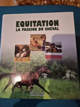 fiches cheval