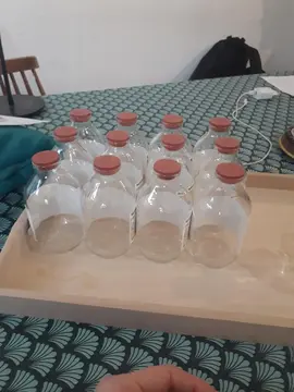 Bouteille verre bouchon caoutchouc