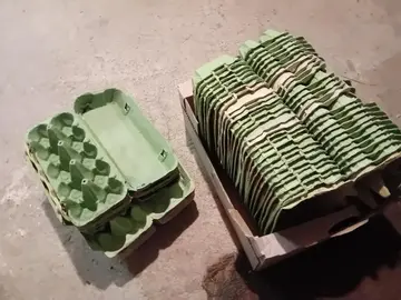 Boîtes à oeufs vides