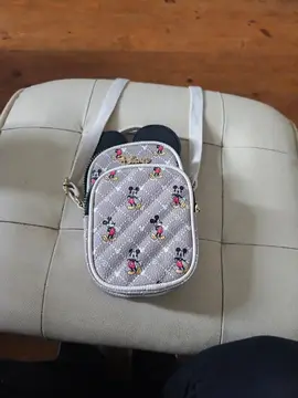 Bonjour, je donne deux sacoche disney
