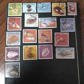 donne timbres coquillage