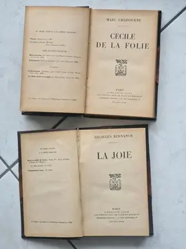 Livres anciens Collection Lot 2 (2 livres)
