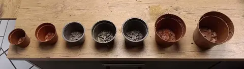 Pot de Fleur, pots de pépinière, pot de rempotage, godet de semis