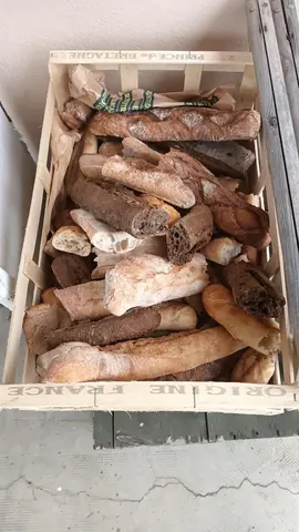 pain sec pour animaux