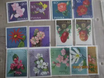 13 timbres "fleurs" de Pologne