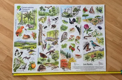 Poster nature Conservatoires d'espaces naturels