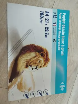 Papier dessin blanc à grain