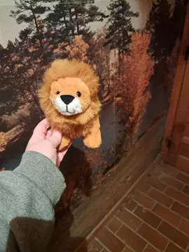 Peluche lion