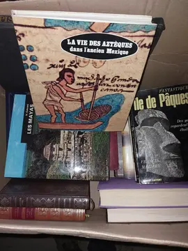 12 cartons de livres