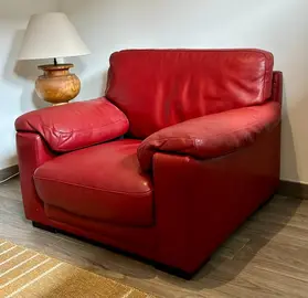 FAUTEUIL CUIR ROCHE BOBOIS