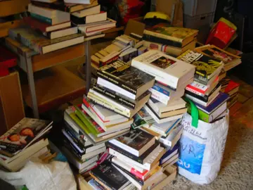 Gros de livres divers