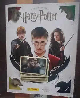 images panini Harry Potter