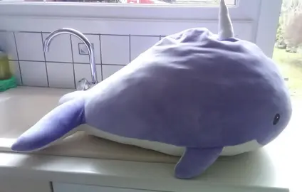 grande baleine 1 M environ