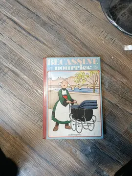 livre bécassine