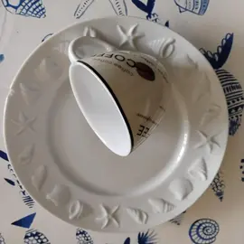 vaisselle légèrement ébréchée pour travaux manuels