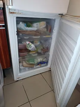 frigo