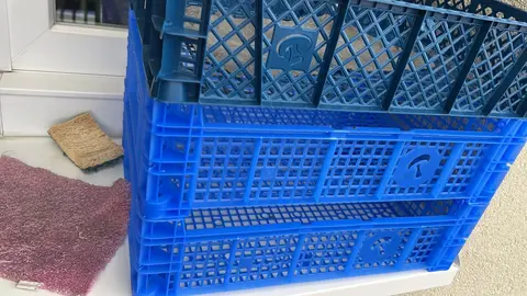 3 cageots en plastique