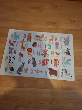 grand set de table plastifié